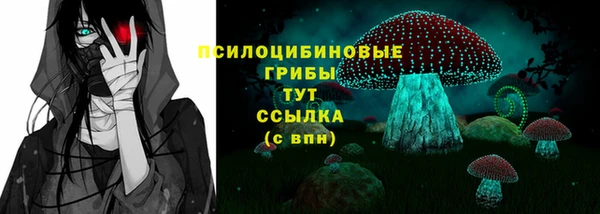 прущие крисы Балахна