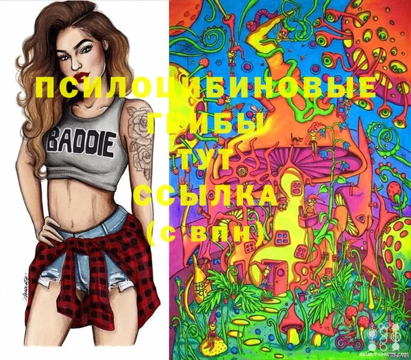 прущие крисы Балахна