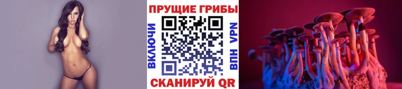 Псилоцибиновые грибы Psilocybe  Озёры 